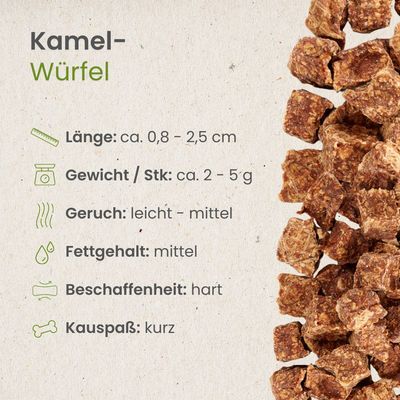 Kauartikel.com Kamel-Würfel