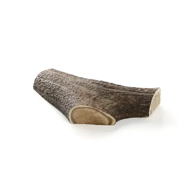Kauartikel.com Hirsch-Geweih halbiert