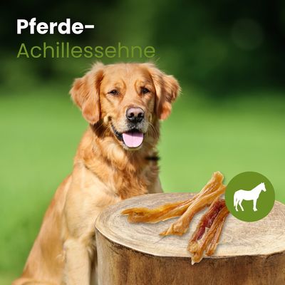 Kauartikel.com Pferde-Achillessehne