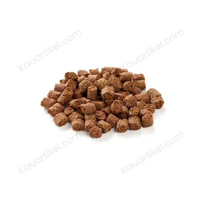 Kauartikel.com Insekten Snack Kauartikel.com Insekten Snack