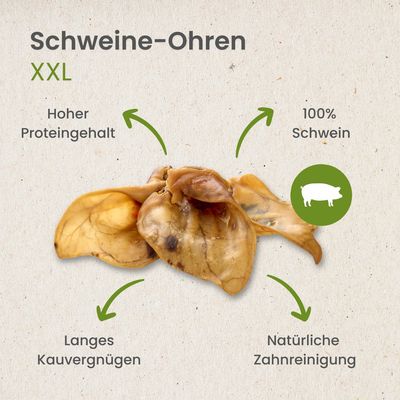 Kauartikel.com Schweine-Ohren XXL