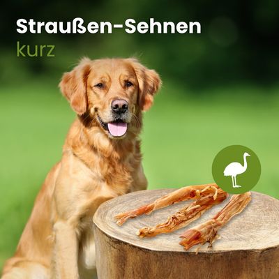 Kauartikel.com Straußen-Sehnen, kurz