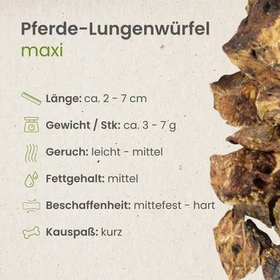 Kauartikel.com Pferde-Lungenwürfel Maxi