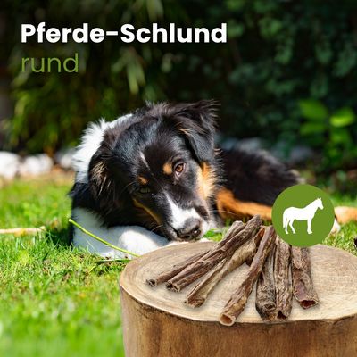 Kauartikel.com Pferde-Schlund, rund