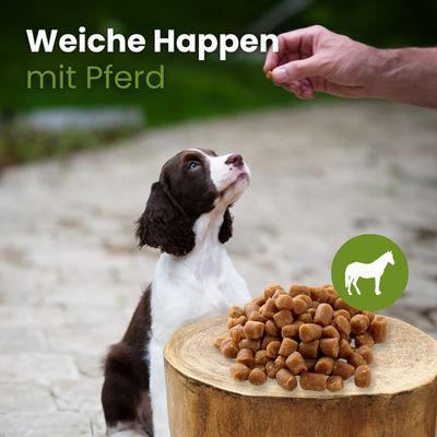 Kauartikel.com Weiche Happen mit Pferd