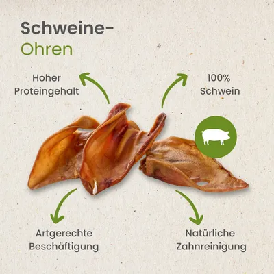 Kauartikel.com Schweine-Ohren