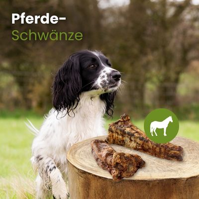 Kauartikel.com Pferde-Schwänze