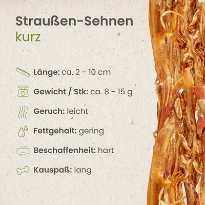Kauartikel.com Straußen-Sehnen, kurz