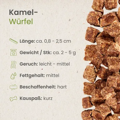 Kauartikel.com Kamel-Würfel