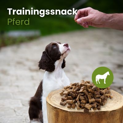 Kauartikel.com Pferde-Sticks-Trainingssnack