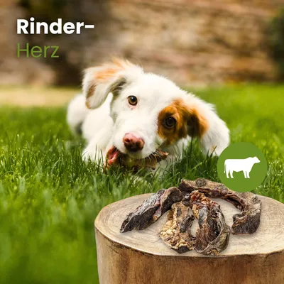 Kauartikel.com Rinder-Herz Kauartikel.com Rinder-Herz