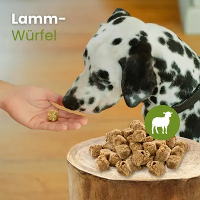 Kauartikel.com Lamm-Würfel