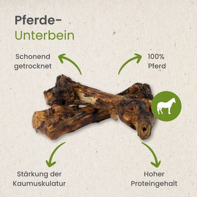 Kauartikel.com Pferde-Unterbein