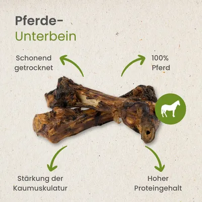 Kauartikel.com Pferde-Unterbein
