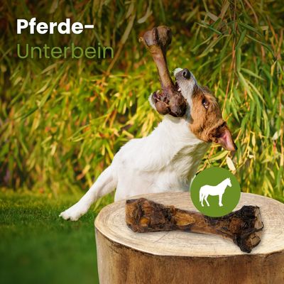 Kauartikel.com Pferde-Unterbein