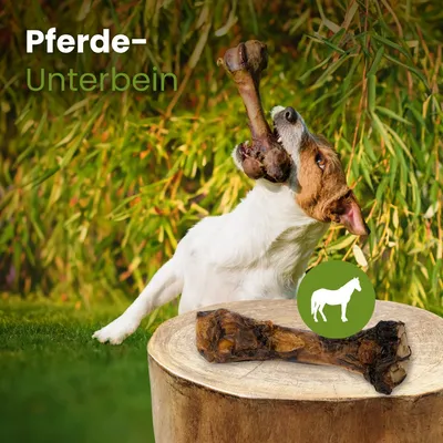 Kauartikel.com Pferde-Unterbein
