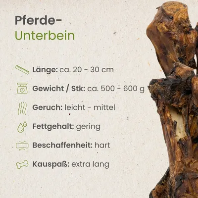 Kauartikel.com Pferde-Unterbein