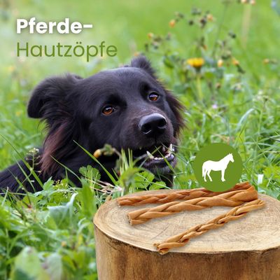 Kauartikel.com Pferde-Zöpfe