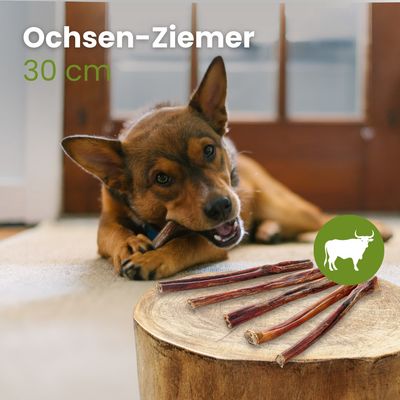 Kauartikel.com Ochsen-Ziemer, 30cm
