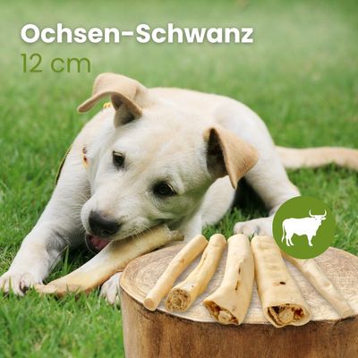Kauartikel.com Ochsenschwanz, 12cm