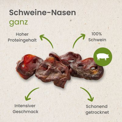 Kauartikel.com Schweine-Nasen, ganz