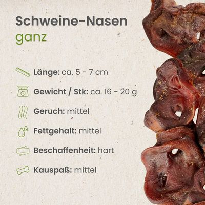 Kauartikel.com Schweine-Nasen, ganz