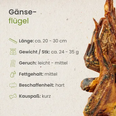 Kauartikel.com Gänse-Flügel