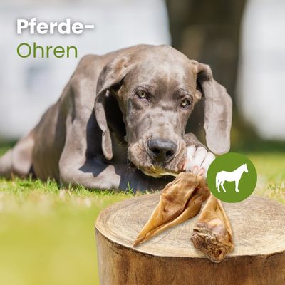 Kauartikel.com Pferde-Ohren