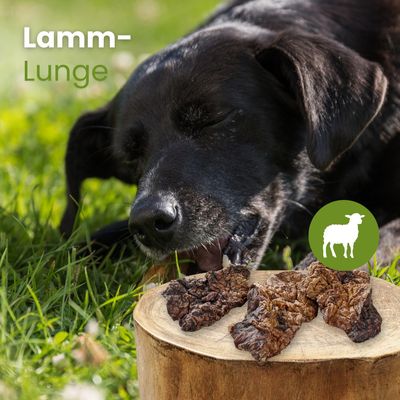 Kauartikel.com Lamm-Lunge