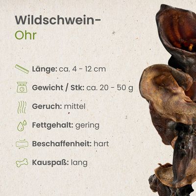 Kauartikel.com Wildschwein-Ohr