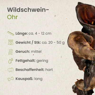 Kauartikel.com Wildschwein-Ohr