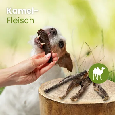 Kauartikel.com Kamel-Fleisch