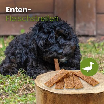 Kauartikel.com Enten-Fleischstreifen