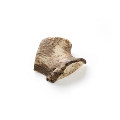 Kauartikel.com Hirsch-Geweih halbiert