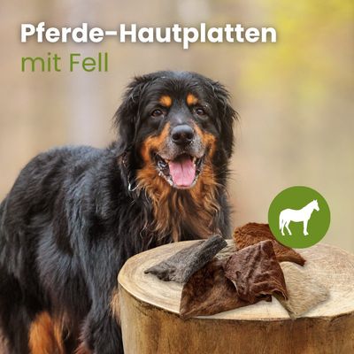 Kauartikel.com Pferde-Hautplatten mit Fell