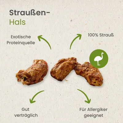 Kauartikel.com Straußen-Hals