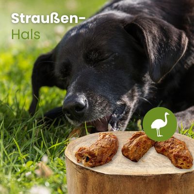 Kauartikel.com Straußen-Hals