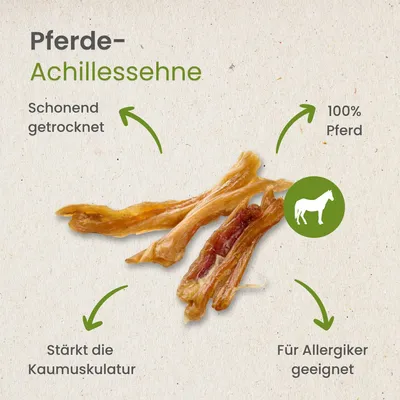 Kauartikel.com Pferde-Achillessehne Kauartikel.com Pferde-Achillessehne
