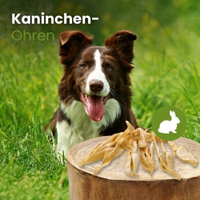 Kauartikel.com Kaninchen-Ohren