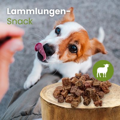 Kauartikel.com Lamm-Lungensnack