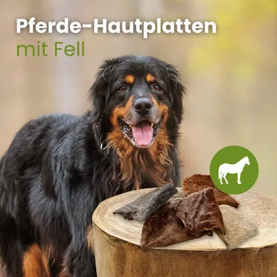 Kauartikel.com Pferde-Hautplatten mit Fell