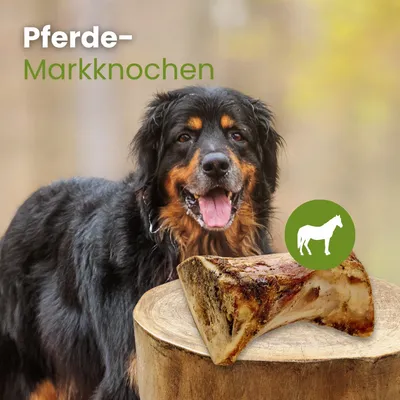 Kauartikel.com Pferde-Markknochen