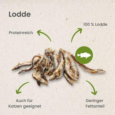 Kauartikel.com Lodde