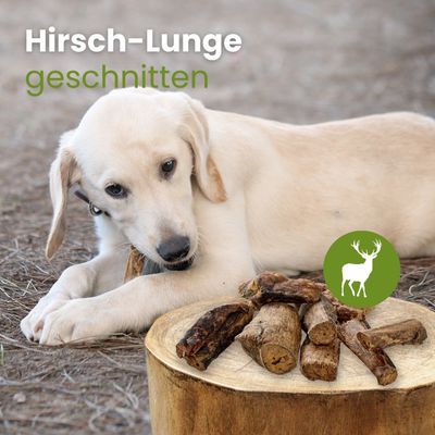 Kauartikel.com Hirsch-Lunge, geschnitten