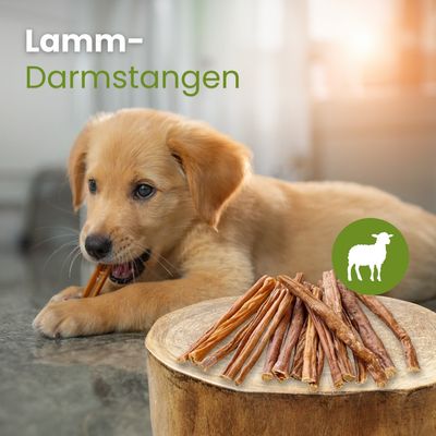 Kauartikel.com Lamm-Darmstangen