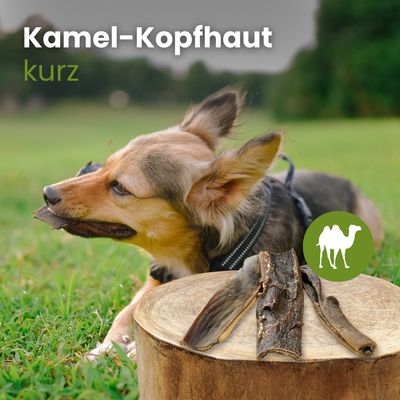 Kauartikel.com Kamel-Kopfhaut,kurz
