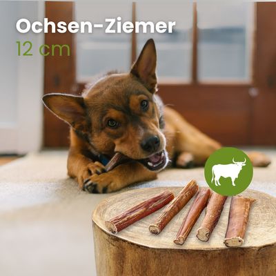 Kauartikel.com Ochsen-Ziemer, 12cm