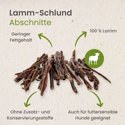 Kauartikel.com Lamm-Schlund, Abschnitte