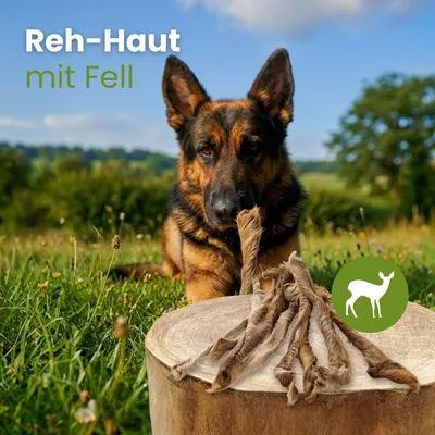 Kauartikel.com Reh-Haut, mit Fell