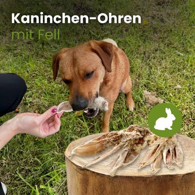 Kauartikel.com Kaninchen-Ohren mit Fell